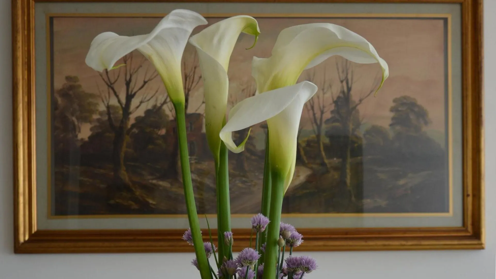 Bed and Breakfast Corte Monfardina Adria